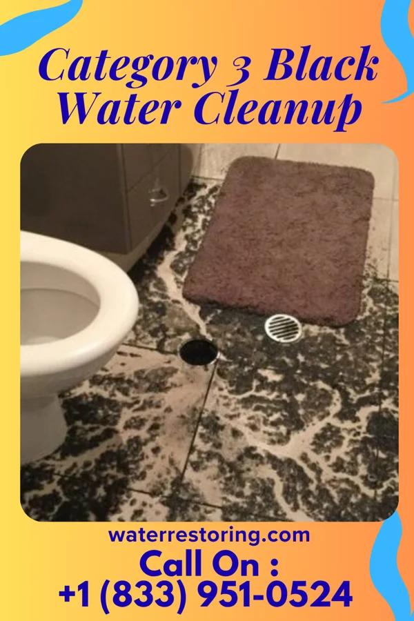 Category 3 Black Water Cleanup in Colfax, IA